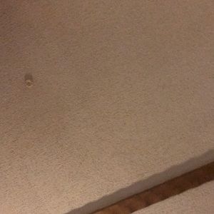 Meet your Posher, Jeff